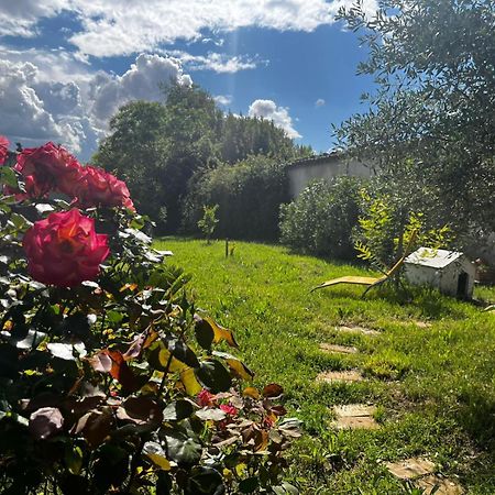 Gite De L'Olivier Nyons Bagian luar foto