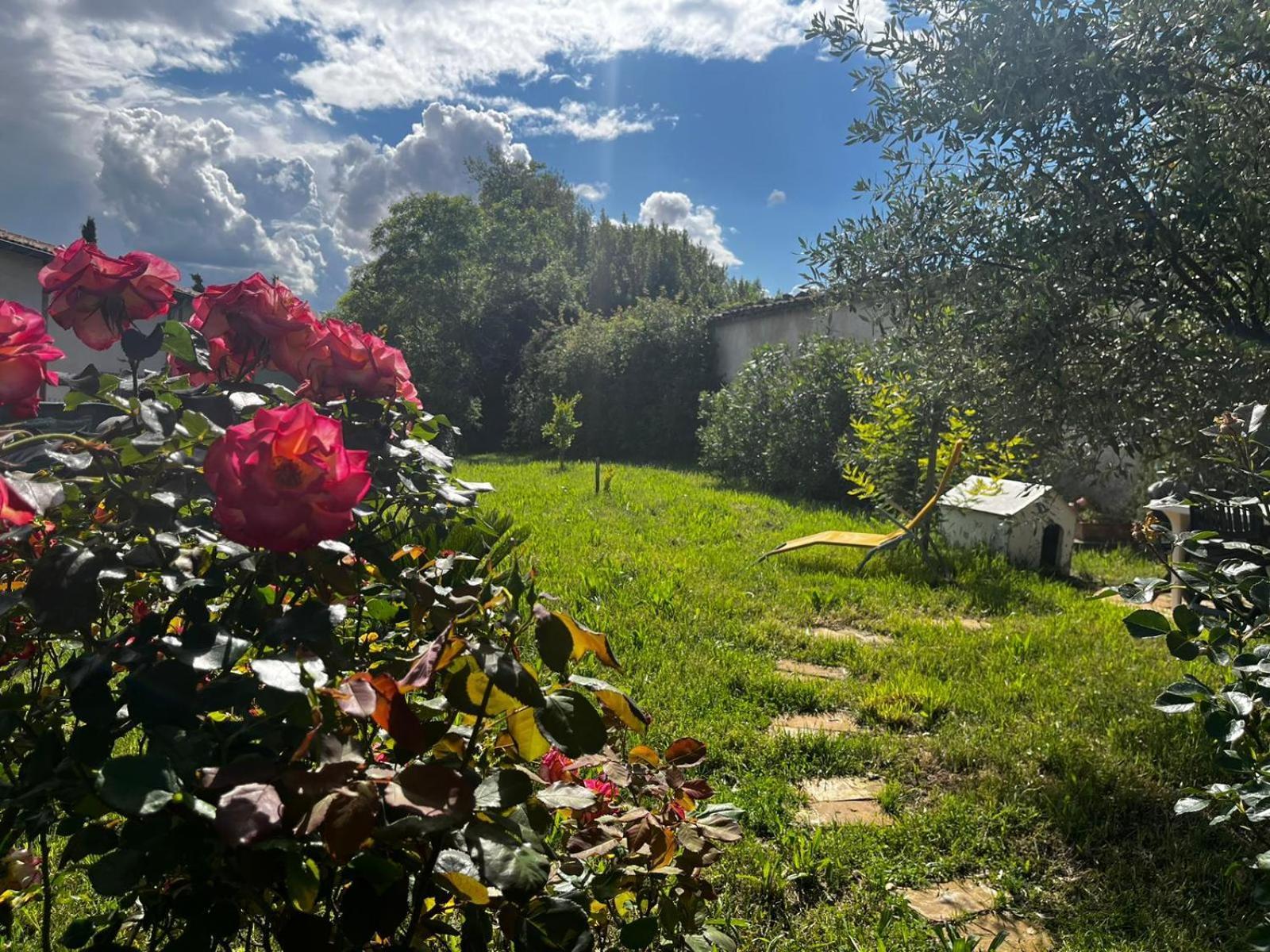 Gite De L'Olivier Nyons Bagian luar foto